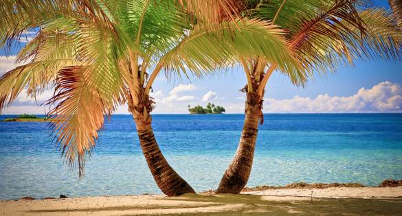 Caribbean