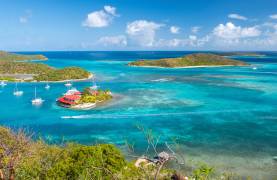 BVI007