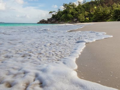Seychelles beach