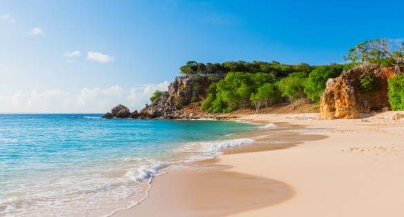 Caribbean